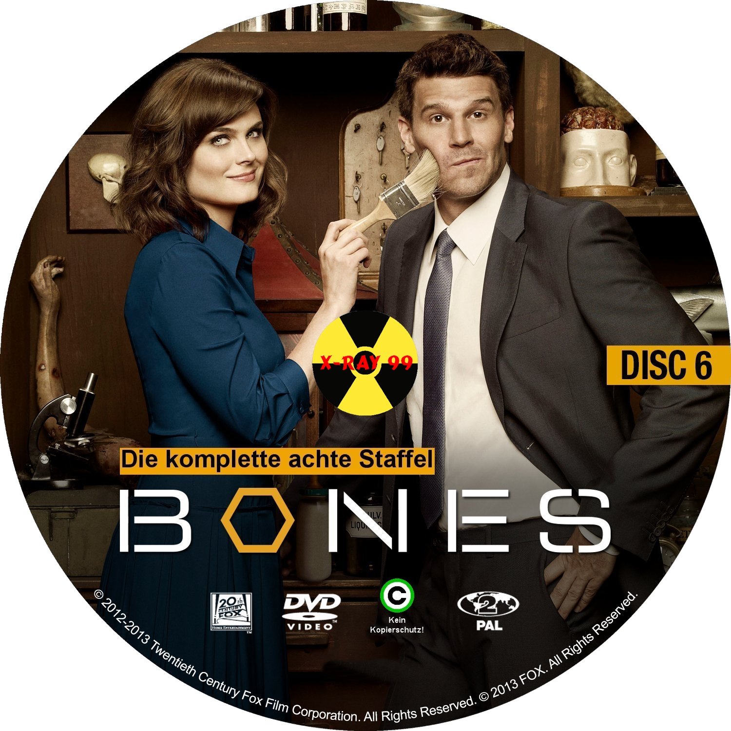 Bones Staffel 8